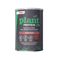 Iconfit Plant protein 480 g...